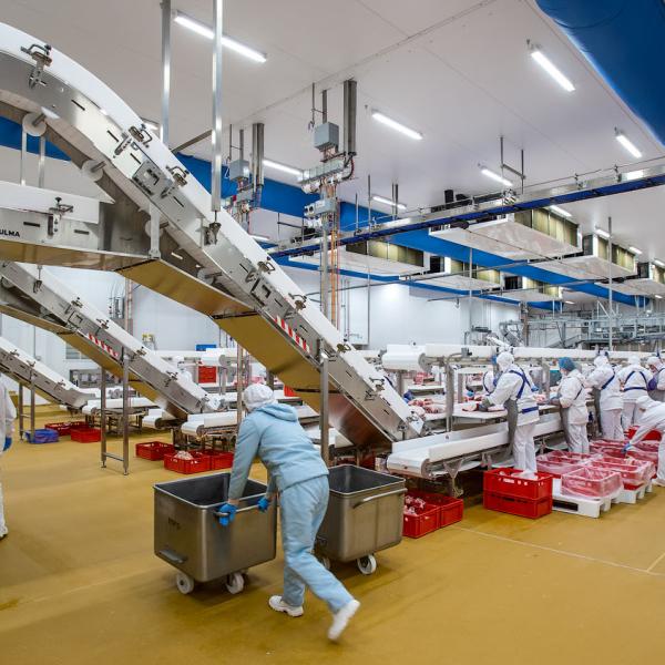 Мясоперерабатывающая промышленность